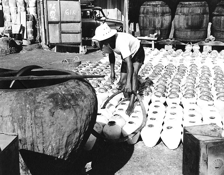 Quá trình làm nước mắm Fish sauce